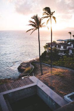 teapalm:  (Tasha Marie) | Rooftop Sunset instagram | society6