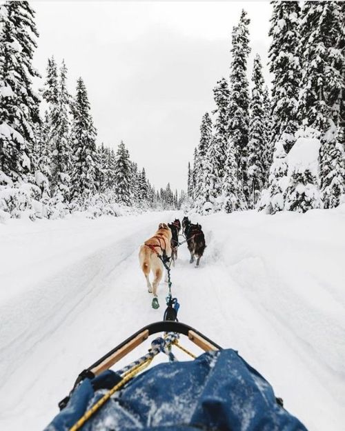 24-kvrvts - wanderlog - Alberta, Canada. Photo - ...