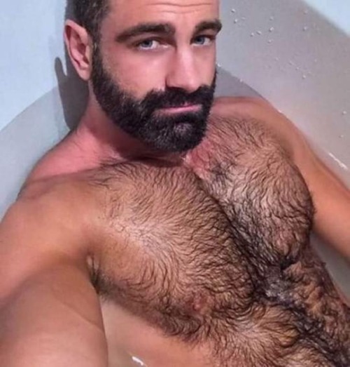 harrybacks:  BlackBeards 25   Eyes, pecs and fur.