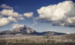 &ldquo;Mt Washington&rdquo; as seen from the McKenzie Highway, OR-jerrysEYES