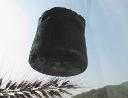 banji-realness:  Graphene aerogel supported by flower petals and stamens