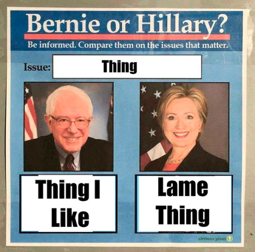 Bernie or Hillary?