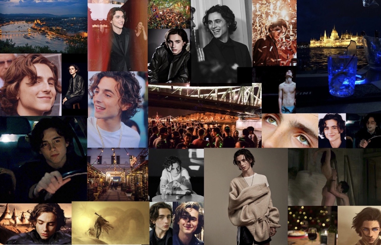 Timothée managed to make the red carpet hoodie a thing with this, How  Timothée Chalamet Became One of the Best-Dressed Stars of Our Generation