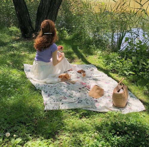 Picnics And Animals 🕊