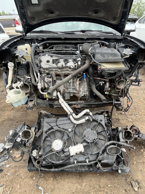 Car Corpse Photos
