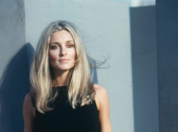 romanbymarta:Sharon Tate photographed by