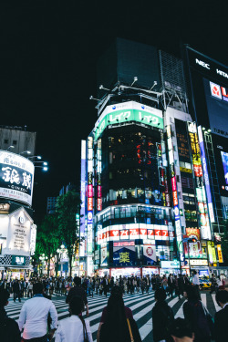 japanesecontent:  Shinjuku Nightlife (by Paul J Morel)