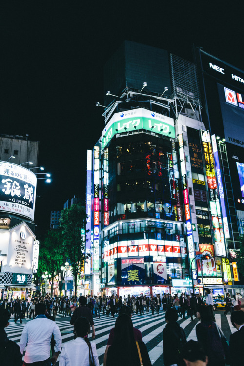 XXX japanesecontent:  Shinjuku Nightlife (by photo