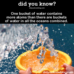 did-you-kno:  One bucket of water contains more atoms than there are buckets of water in all the oceans combined. Source