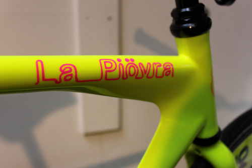 aces5050:  La Piovra (by Stahlrahmen-Bikes)