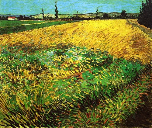 nataliakoptseva:  Wheat Field with the Alpilles Foothills in the Background, 1888 Vincent van Gogh