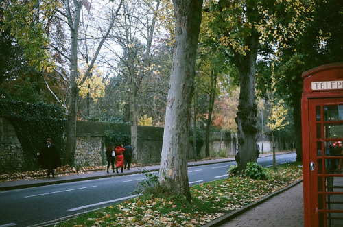 oldcameranewland: Parks Road, Oxford on Flickr. November, 2013