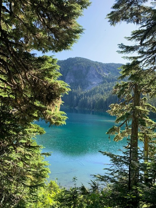 wiildness:hiking Mt. Rainier | photo by Emily Richards (2019)please don’t delete the caption as it c