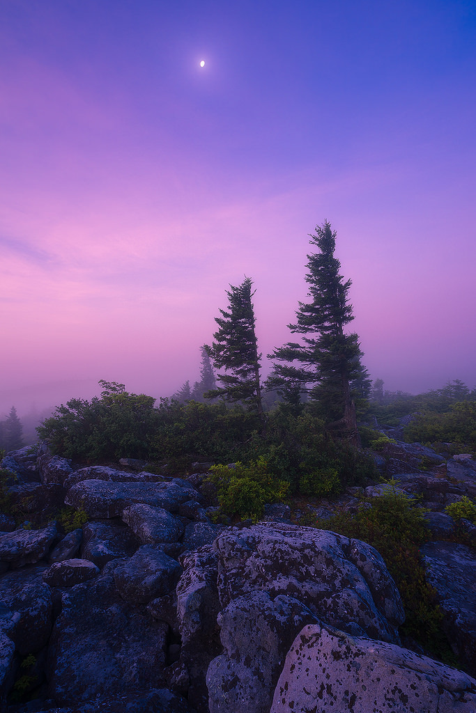 Awakening by Tanner