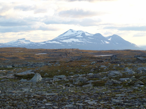 Scandinavian CaledonidesMountain belts are a source of all sorts of exciting and significant fossil 