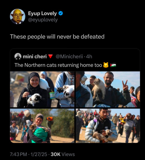 Gazans Are Returning Home And Rebuilding ❤️