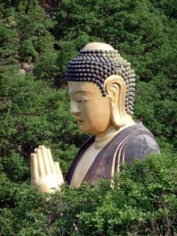 buddhabe:  Buddha 