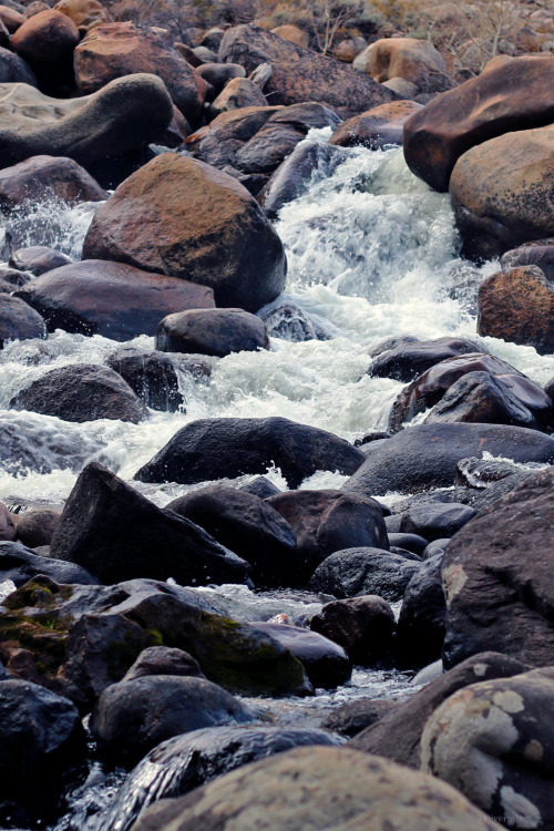 The frisky waters of the Popo Agie River navigate the earth-toned boulders on their way to the &ldqu