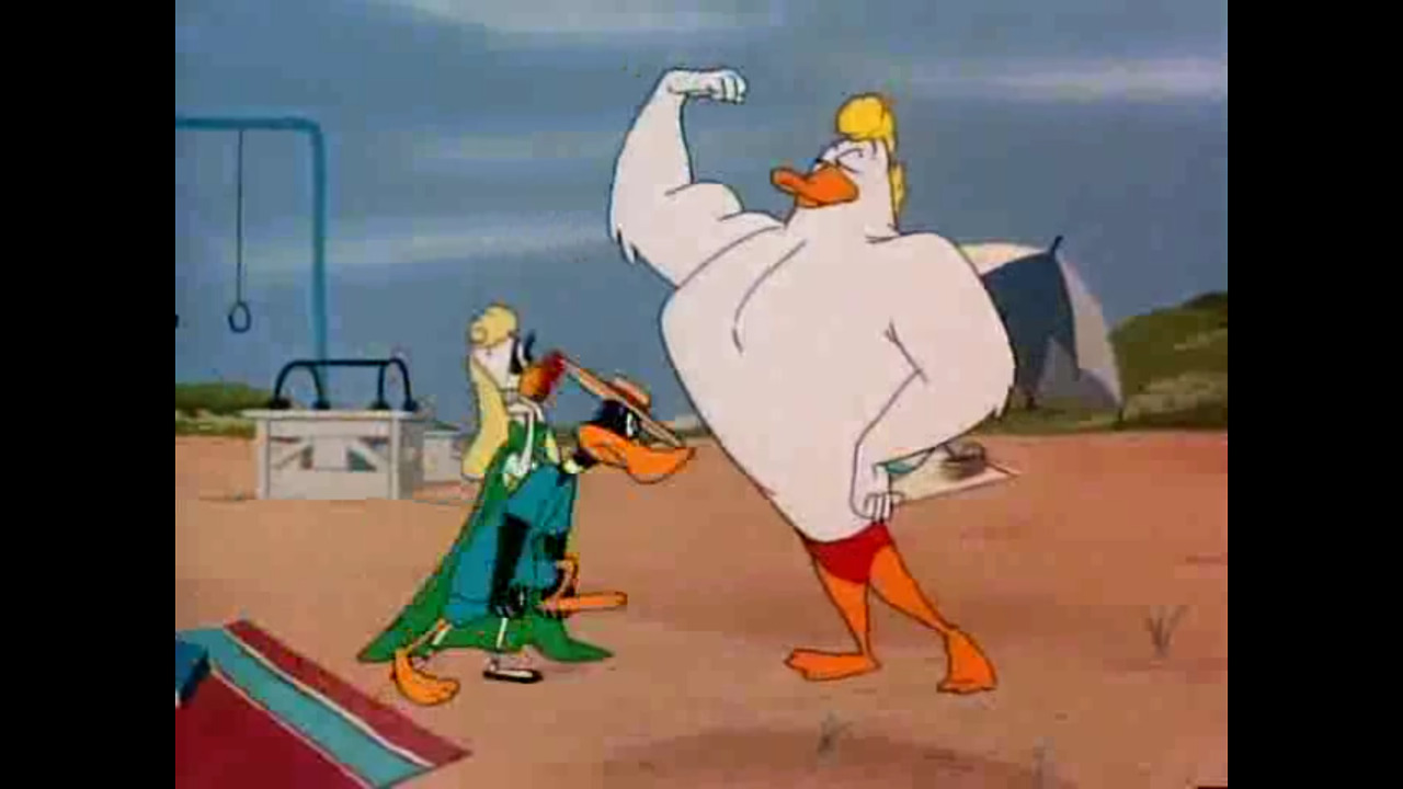 the muscle bound duck looney tunes muscle tussle 