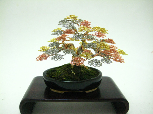 ianbrooks:Wire Bonsai by Ken ToBonsai is a reflective art, but you could almost see yourself in the 