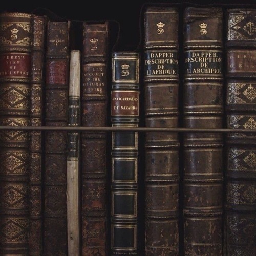 theacademictailor - The Academic Tailor