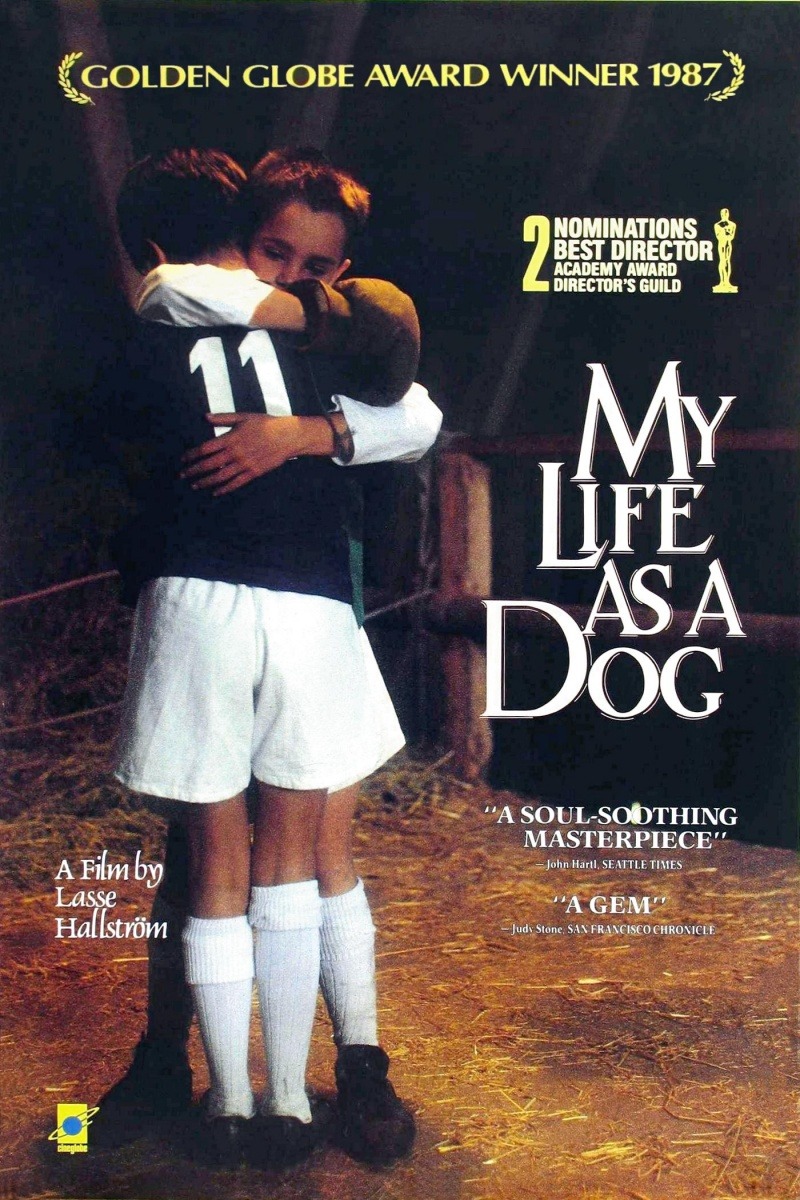 — My Life as a Dog (1985), Lasse Hallström The best...