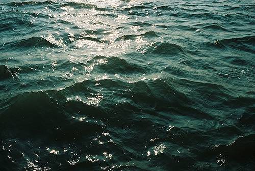 the-hippie-project:  🏊 on We Heart It.