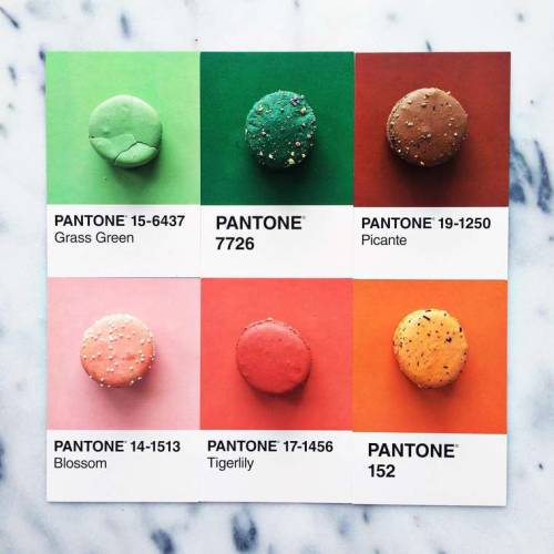 art-tension:   Pantone Food – Turning colorful ingredients into appetizing Pantone colors  With her 