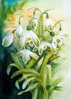 floralls:floral watercolors by   Yvonne Harry