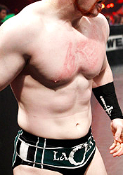 punktanichassailed:  I Appreciate Your Midsection → Sheamus 