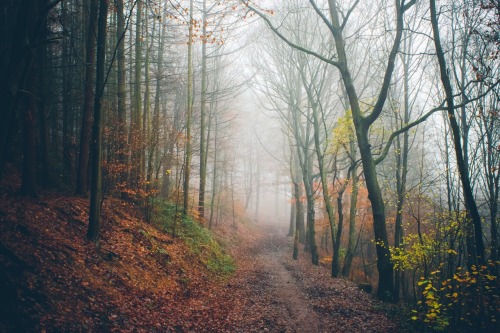 odbytea:  dpcphotography:  Weekend Walk 🍁🍂  xx