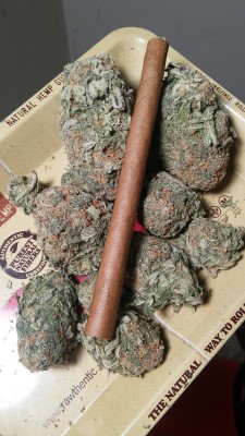 old-mother-sativa:Rolled a blunt full of