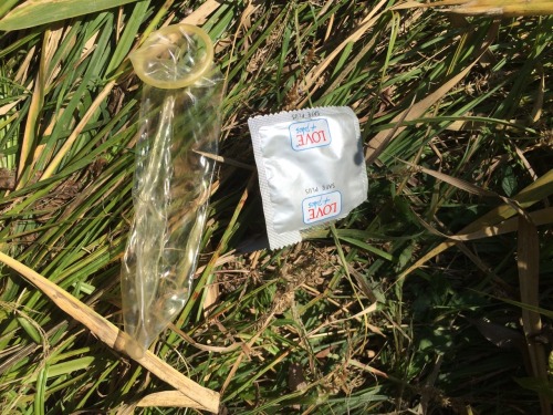 This is one of the most beautiful discoveries of mine! Excepting that huge used condom, this is, by 