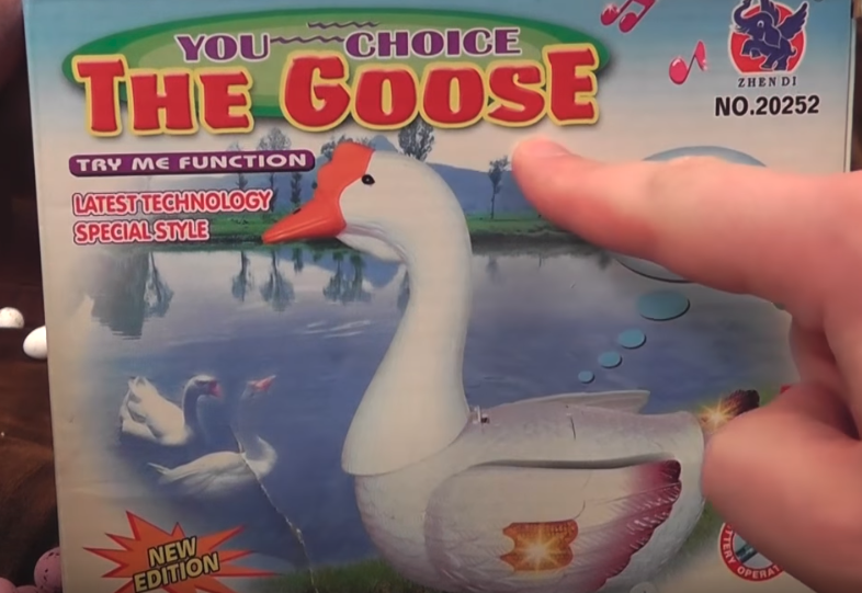 YOU        CHOICE THE GOOSE