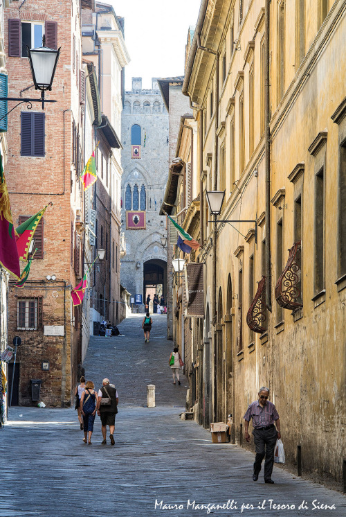 Via della SapienzaFoto del Tesoro di Siena su Flickr 