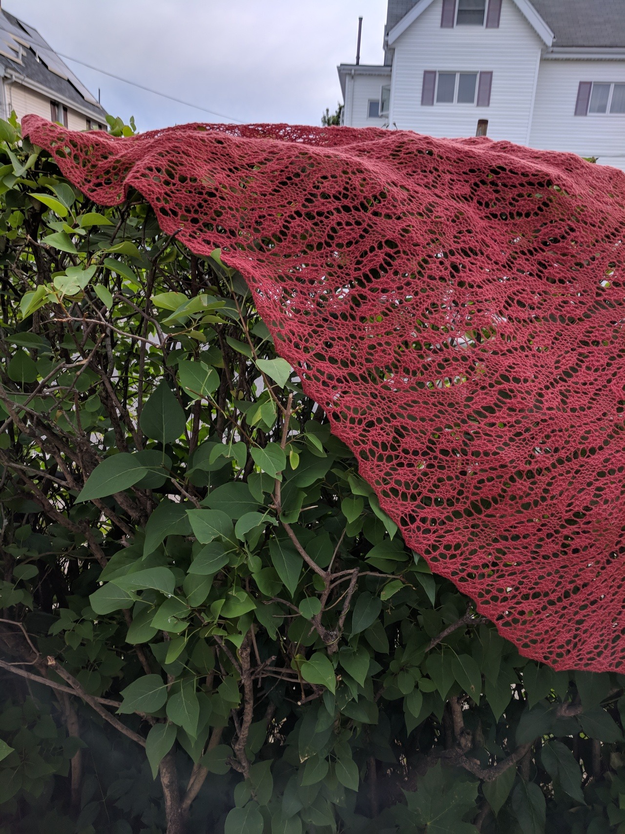 I made a Big Elaborate Lace Thing! it’s so big! and so lacy!
ravelry project link here: weirwood shawl