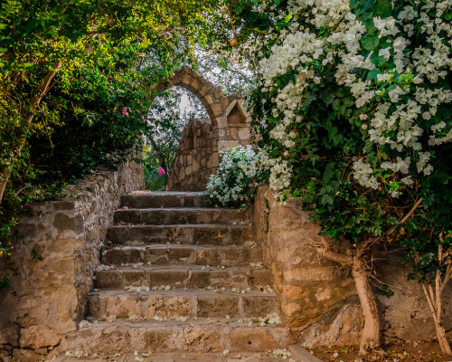 allthingseurope:Paphos, Cyprus (by Yevgeniy Fedotkin)