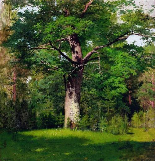 Oak, 1880, Isaac LevitanMedium: oil,canvas
