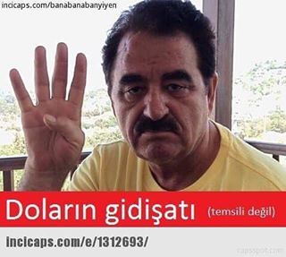 Doların gidişatı