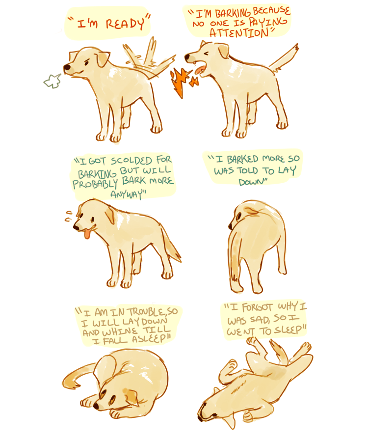 yummytomatoes:  a chart for my dog Sadie