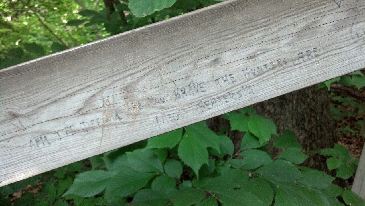 acutecarenurse:  An interesting find on our hike through Starved Rock. “Arm the