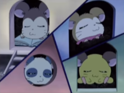 hamtaro anime