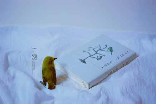 ▋ Japanese White-eye ( custom-made ) Sculpture approximately 5 x 8 x 8 cm 