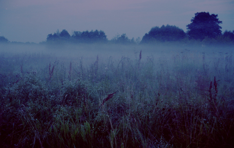 hellanne:  (by Nishe) 