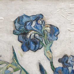 lonequixote:Irises (detail) ~ Vincent van Gogh 