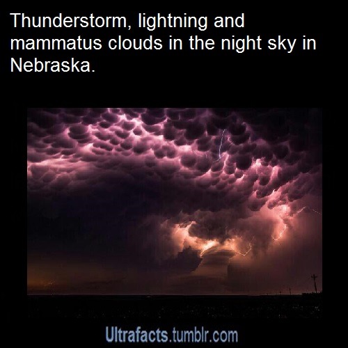 ultrafacts:  Source For more posts like this, follow the Ultrafacts Blog!