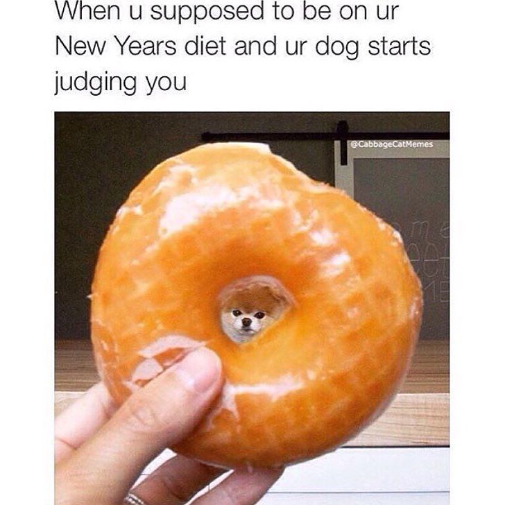 😂😂😂😂 It&rsquo;s @tobbymontana (credit @jonestud) #DontJudge by nikkibenz