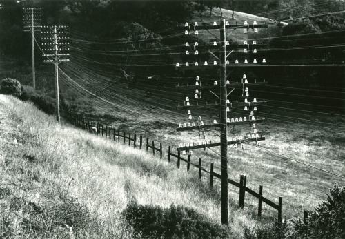 magictransistor:  Pirkle Jones, Insulators and poles, Marin County, California, 1952. 