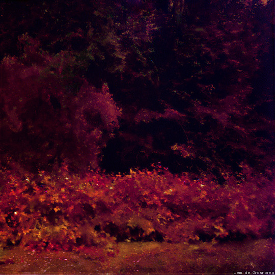 minuspaint:  599. Red Violet ForestLem de Grosnpreg