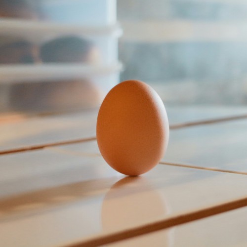 To make an egg stand…